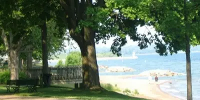 View of tree and beach