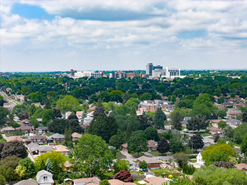 Oshawa Tree Canopy