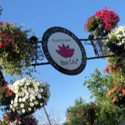 Image of annual garden floral display and Bee City sign