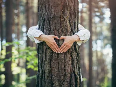 person with arms around tree making a heart shape with their hands