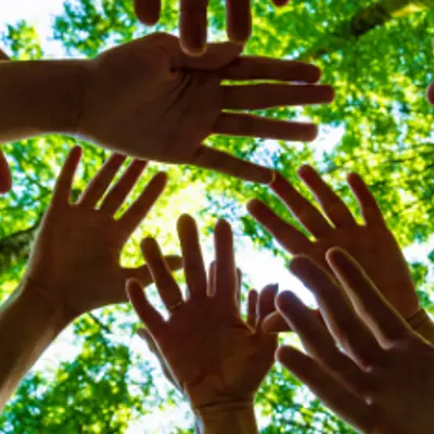 A group of human hands together with a treeline backdrop.