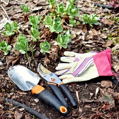 Gardening gloves and tools on the ground.