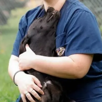 person hugging black dog 